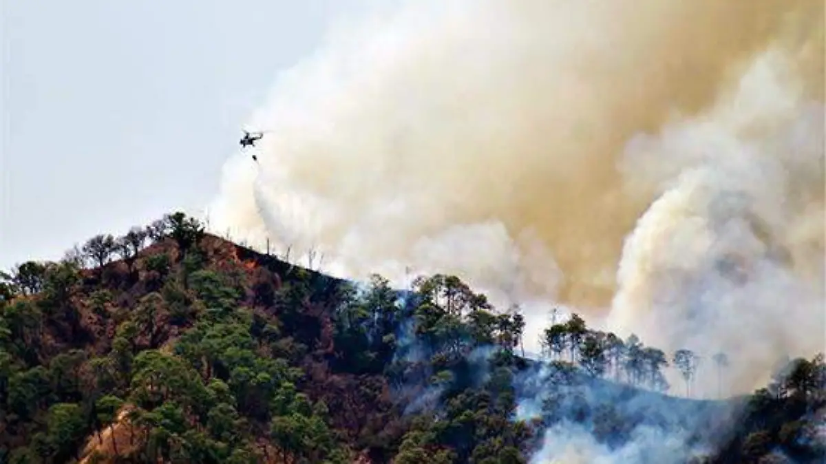 incendios 